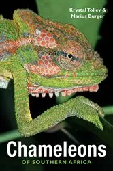 Book cover of Chameleons of Southern Africa by Unknown