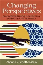 Book cover of Changing Perspectives by Allison E. Schottenstein