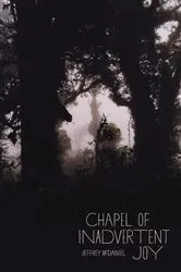 Book cover of Chapel of Inadvertent Joy by Jeffrey McDaniel