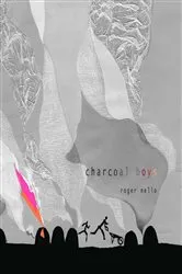 Book cover of Charcoal Boys by Roger Mello