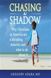 Book cover of Chasing a Shadow by GREGORY Adaka