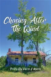 Book cover of Chasing After the Wind by Valerie J. Macon