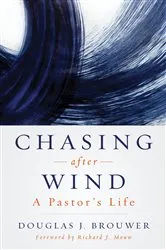 Book cover of Chasing after Wind by Douglas J. Brouwer