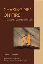 Book cover of Chasing Men on Fire by Stephen G. Waxman