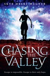 Book cover of Chasing the Valley by Skye Melki-Wegner