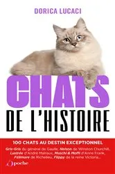 Book cover of Chats de l'histoire by Dorica Lucaci