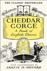 Book cover of Cheddar Gorge by John Squire
