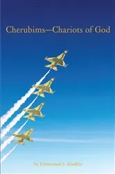 Book cover of CherubimsaEUR