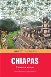 Book cover of Chiapas by Unknown