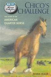 Book cover of Chico's Challenge by Jessie Haas