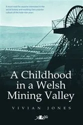 Book cover of Childhood in a Welsh Mining Valley by Vivian Jones