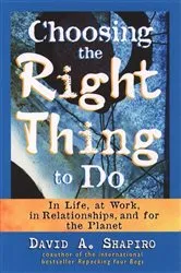 Book cover of Choosing the Right Thing to Do by David A. Shapiro