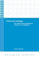 Book cover of Christ and Analogy by Junius Johnson