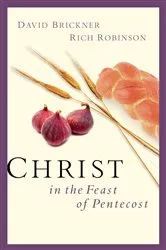 Book cover of Christ in the Feast of Pentecost by Rich Robinson