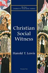 Book cover of Christian Social Witness by Harold T. Lewis