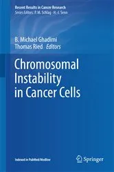 Book cover of Chromosomal Instability in Cancer Cells by B. Michael Ghadimi