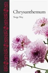 Book cover of Chrysanthemum by Twigs Way