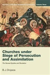 Book cover of Churches under Siege of Persecution and Assimilation by Unknown