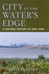 Book cover of City at the Water's Edge by Betsy McCully