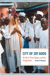 Book cover of City of 201 Gods by Jacob Olupona