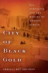 Book cover of City of Black Gold by Arbella Bet-Shlimon