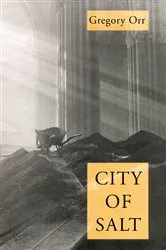 Book cover of City Of Salt by Gregory Orr