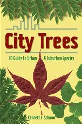 Book cover of City Trees by Kenneth J. Schoon