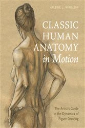Book cover of Classic Human Anatomy in Motion by Valerie L. Winslow