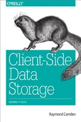 Book cover of Client-Side Data Storage by Raymond Camden