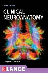 Book cover of Clinical Neuroanatomy, 28th Edition (28th ed.) by Stephen G. Waxman