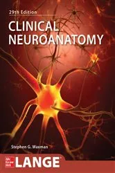 Book cover of Clinical Neuroanatomy, Twentyninth Edition (29th ed.) by Stephen G. Waxman