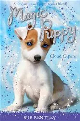 Book cover of Cloud Capers by Sue Bentley