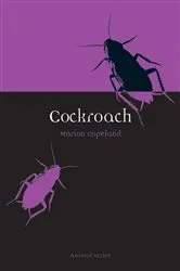 Book cover of Cockroach by Marion Copeland