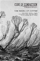 Book cover of Code of Conduction by Lichen Glen