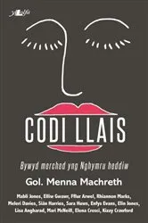 Book cover of Codi Llais by Unknown