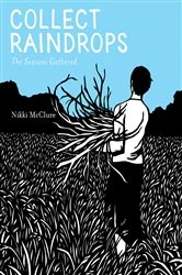 Book cover of Collect Raindrops by Nikki McClure