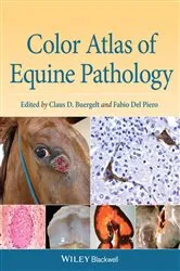 Book cover of Color Atlas of Equine Pathology by Claus D. Buergelt