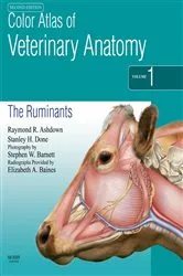 Book cover of Color Atlas of Veterinary Anatomy, Volume 1, The Ruminants E-Book (2nd ed.) by Raymond R. Ashdown BVSc PhD MRCVS