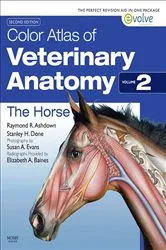 Book cover of Color Atlas of Veterinary Anatomy, Volume 2, The Horse (2nd ed.) by Raymond R. Ashdown BVSc PhD MRCVS