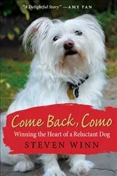 Book cover of Come Back, Como by Steven Winn