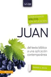 Book cover of Comentario bíblico con aplicación NVI Juan by Gary M. Burge