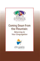 Book cover of Coming Down from the Mountain by Lawrence Martin