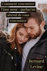Book cover of Comment rencontrer l'âme sœur : quelqu'un attend de vous rencontrer by Bernard Levine
