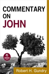 Book cover of Commentary on John (Commentary on the New Testament Book #4) by Robert H. Gundry