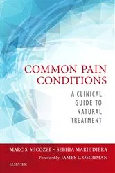 Book cover of Common Pain Conditions - E-Book by Micozzi MD, PhD, Marc S.