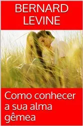 Book cover of Como conhecer a sua alma gêmea by Bernard Levine