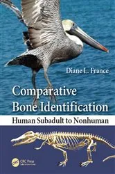 Book cover of Comparative Bone Identification by Diane L. France