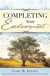 Book cover of Completing Your Endowment by Cory B Jensen