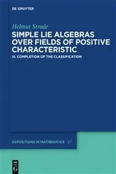 Book cover of Completion of the Classification by Helmut Strade
