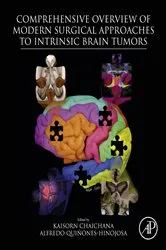 Book cover of Comprehensive Overview of Modern Surgical Approaches to Intrinsic Brain Tumors by Kaisorn Chaichana MD